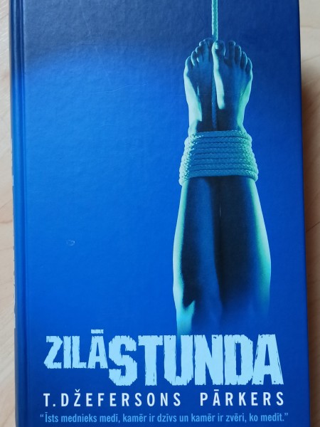 Zilā stunda