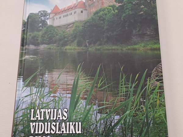 Viduslaiku pilis IX