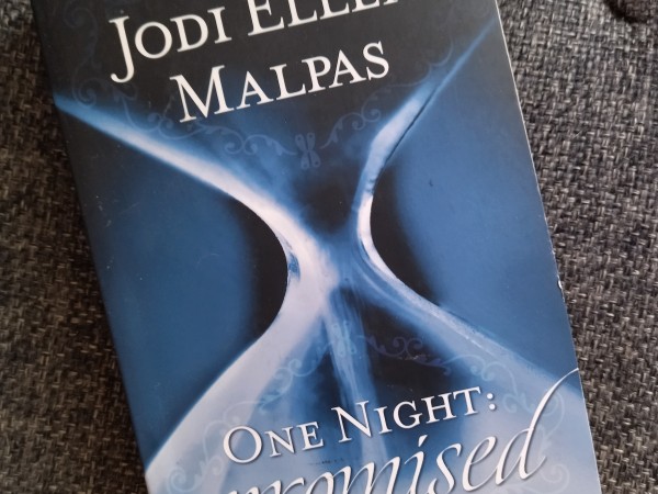 One Night Promised