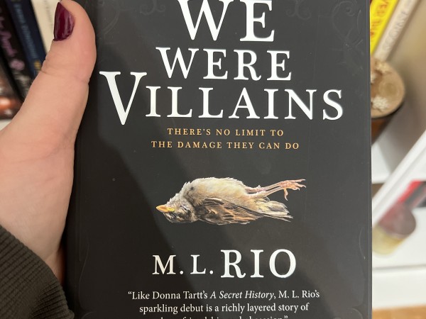 If We Were Villains