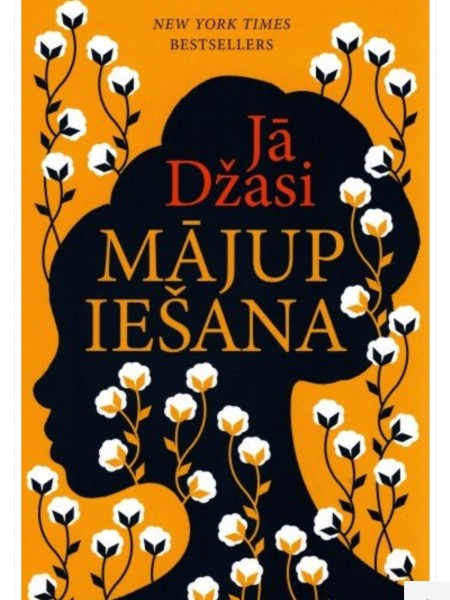 Mājupiešana