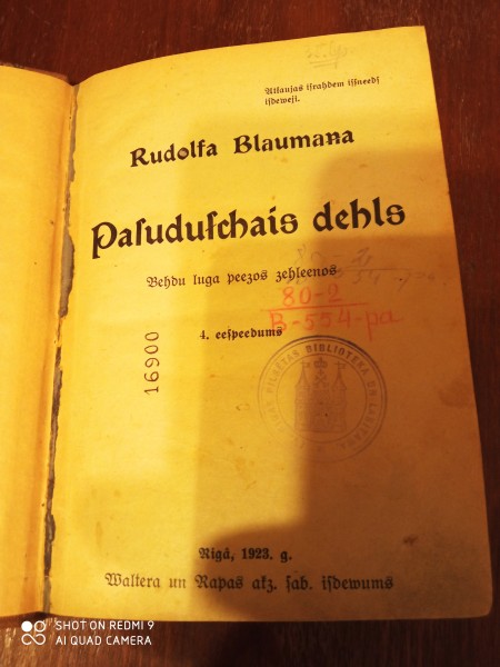Pazudušais dēls