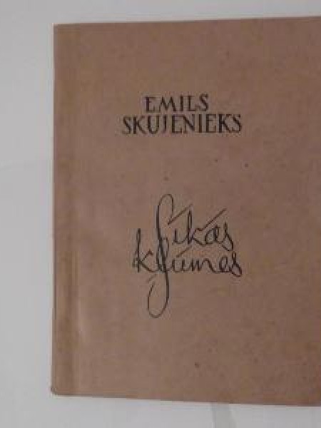 Sīkās kļūmes