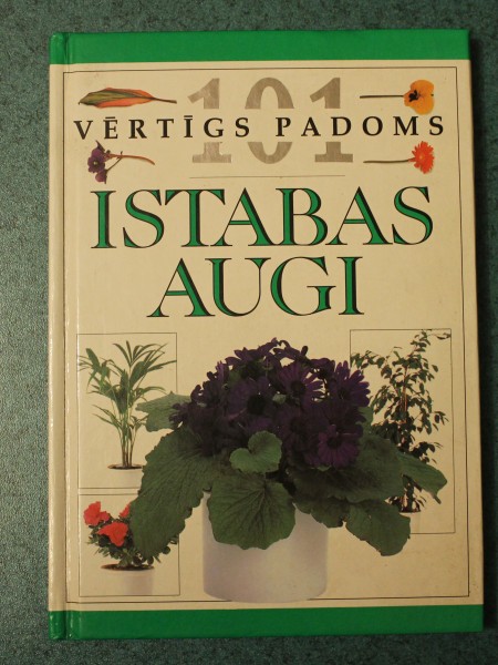 Istabas augi