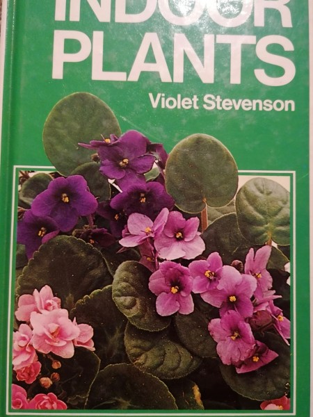 Indoor Plants