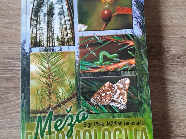 Meža entomoloģija
