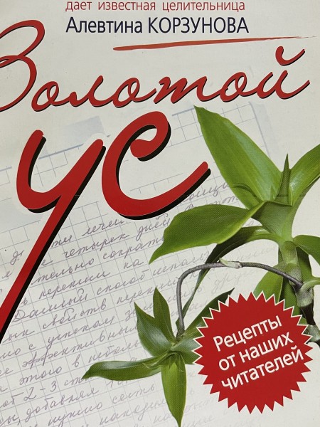 золотой ус