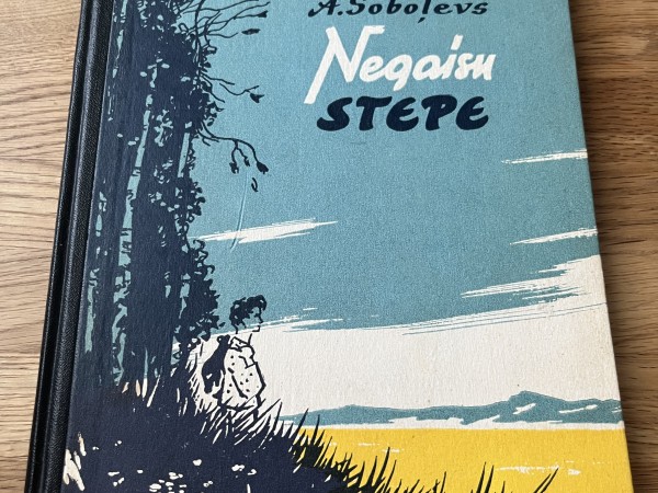 Negaisu stepe
