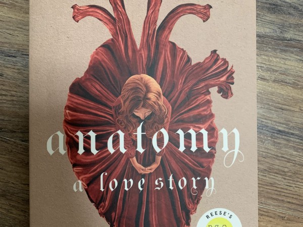 Anatomy
