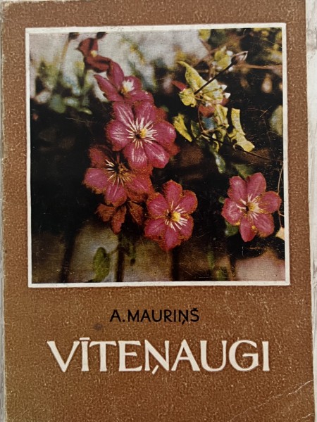 Vīteņaugi