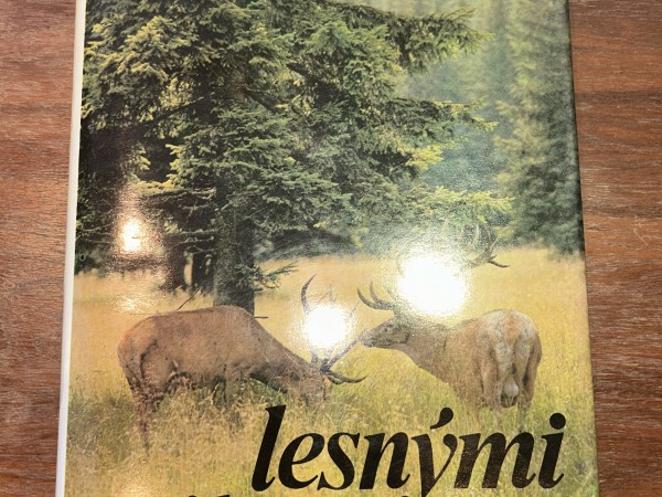 Lesnými zákutiami