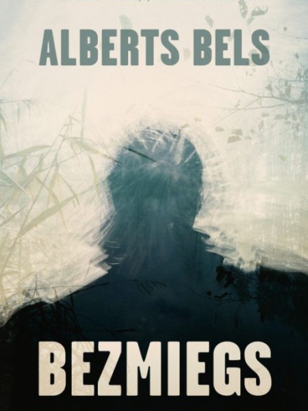 Bezmiegs