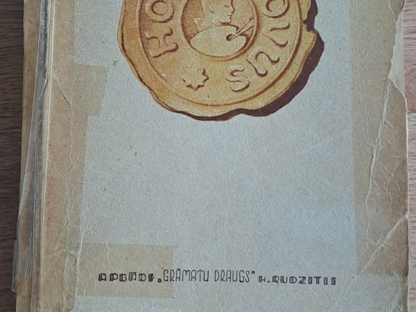 Homo Novus