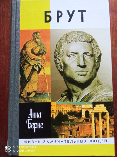 Брут