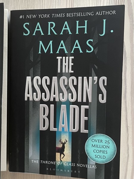 The Assasins blade