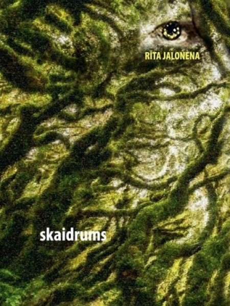 Skaidrums