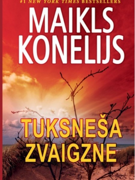 Tuksneša zvaigzne