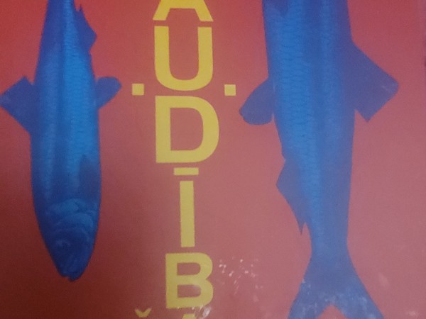 Skaudība