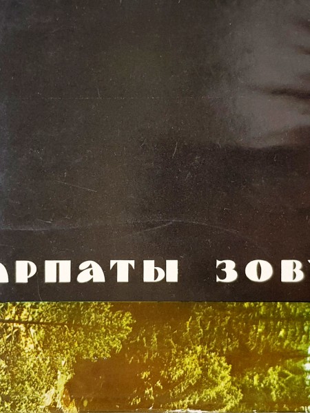 Karpati sauc