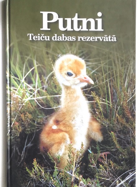 Putni Teiču