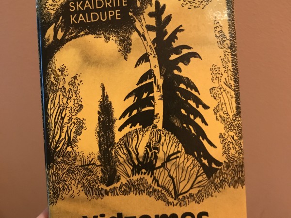 Vidzemes ceļinieks