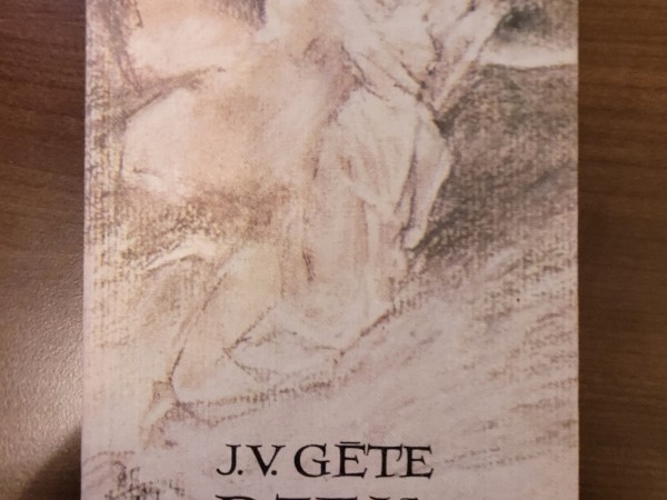 Dzeja