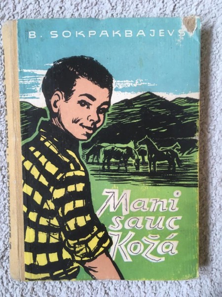 Mani sauc Koža