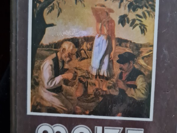 Maize