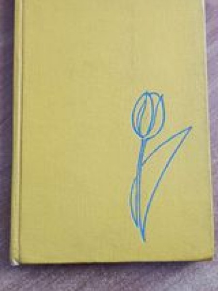 Tulpes