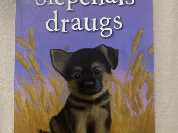 Slepenais draugs