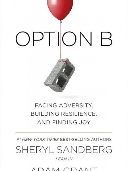 Option B