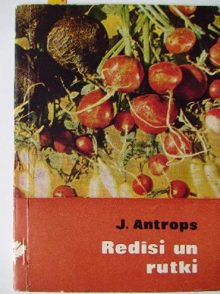 Redīsi un rutki