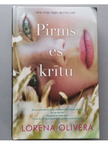 Pirms es krītu