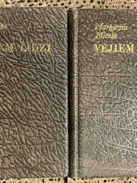 Vējiem līdzi