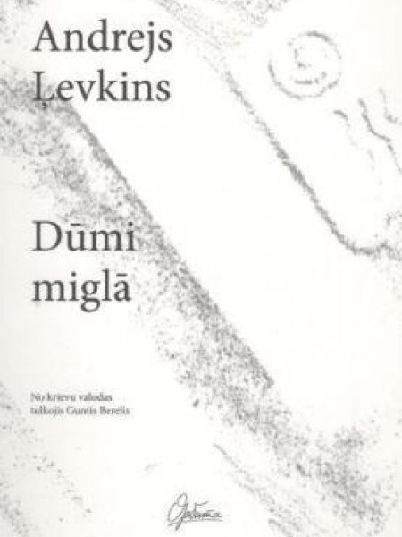 Dūmi miglā