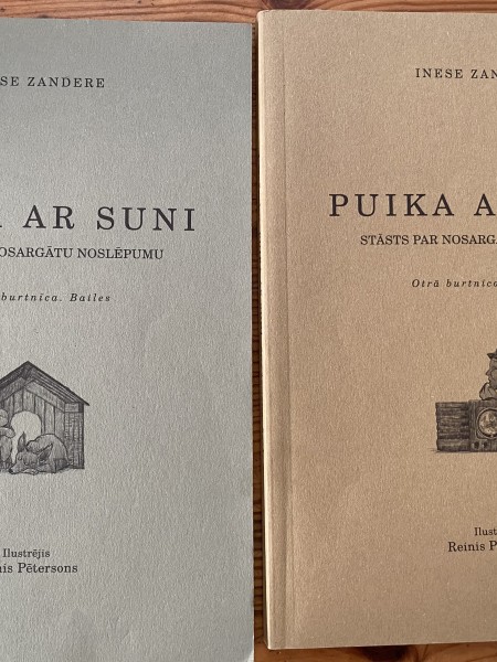 Puika ar suni