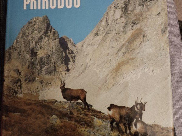 Tatranskou prirodou