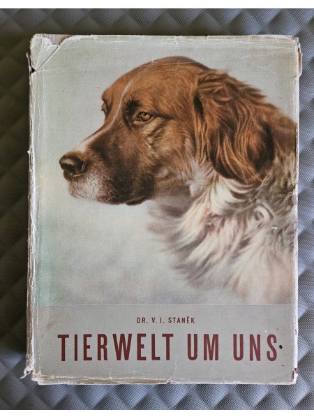 Tierwelt um Uns