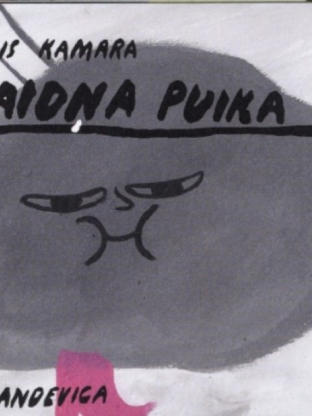 Palaidņu puika
