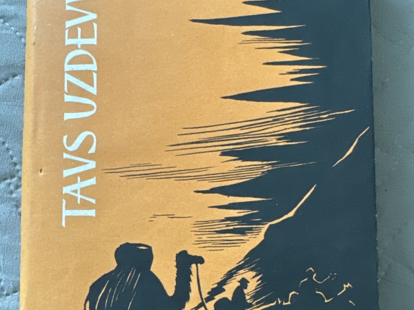 Tavs uzdevums