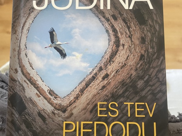 Es Tev piedodu