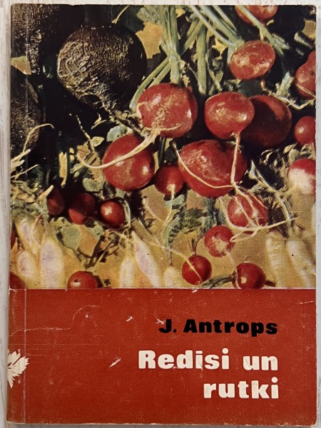 Redīsi un rutki
