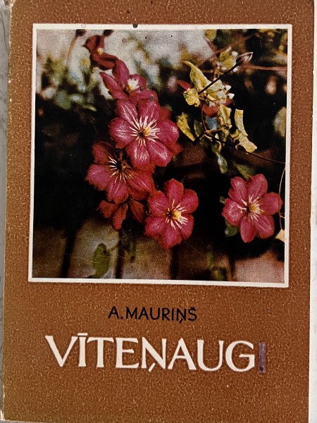 Vīteņaugi