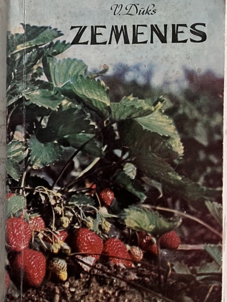 Zemenes