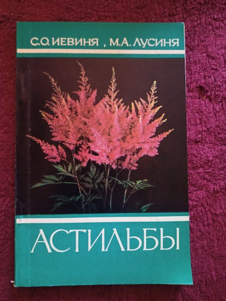 АСТИЛЬБЫ