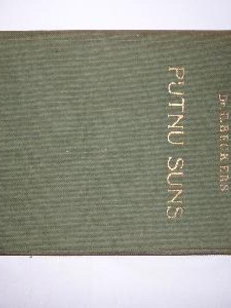 Putnu suns