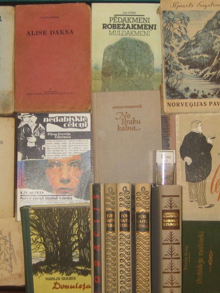 GRĀMATU MIXLIS 13