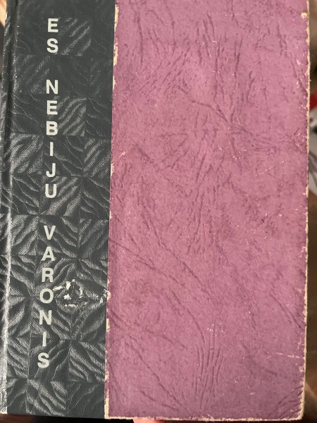 Es nebiju varonis