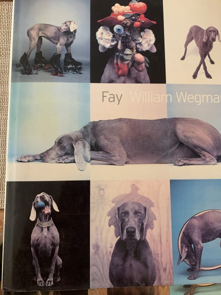 Fay