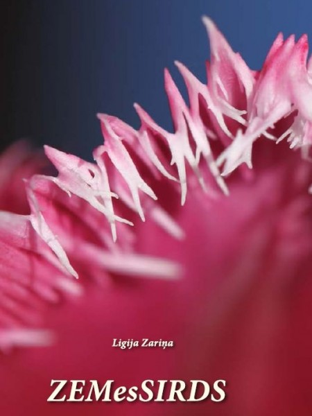 Zemessirds